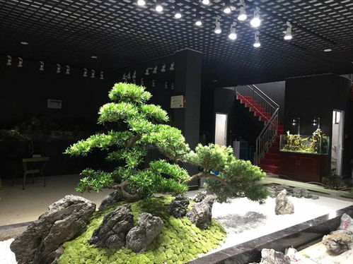 長沙枯山水室內外景觀制作案例賞析——湖南綠蟻人庭院設計